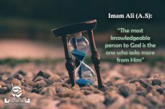   Imam Ali Quote 